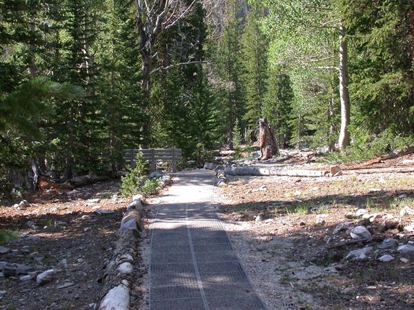 ADA accessible trailhead if the Sky Island Forest trail with bench visible.