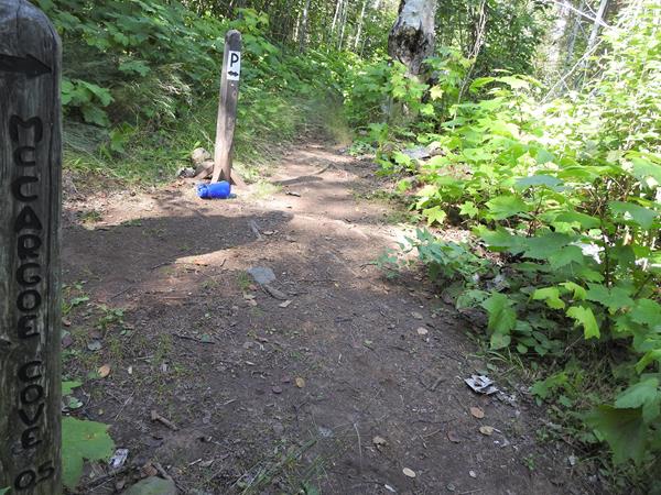 A McCargoe Cove 1.2 miles trail sign and a P for Portage trail sign in the trail surrounded by trees