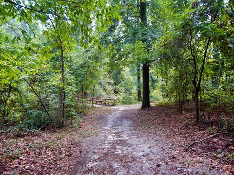 A dirt path through woods leading to a wooden bridge.