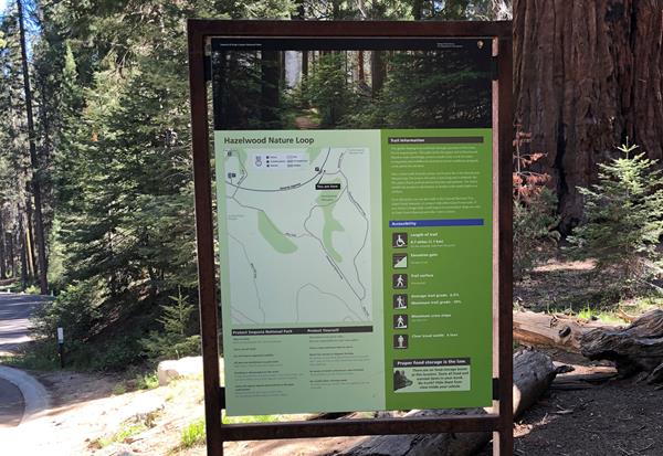 A green trailhead sign displays a map, trees photo, and measurements for trail slope, width, etc and