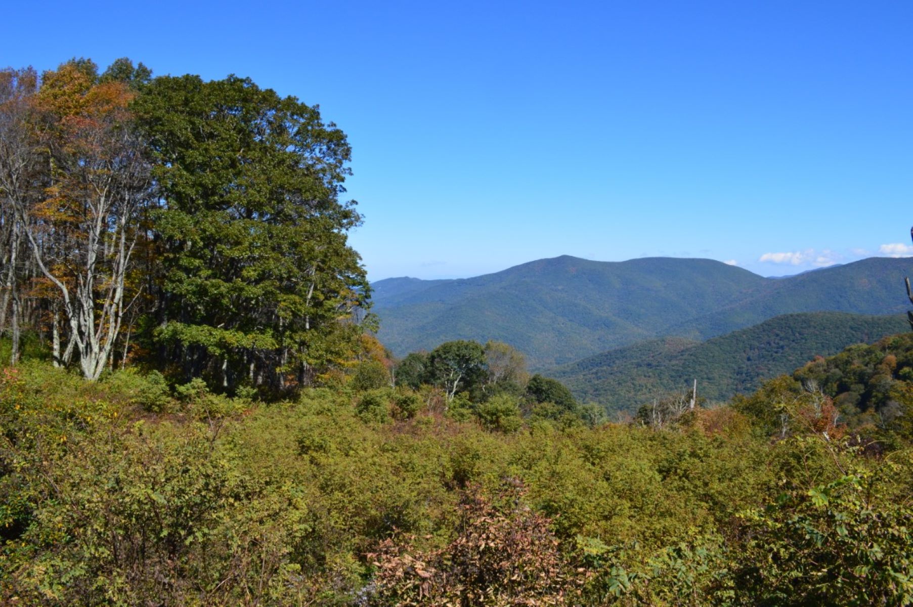 Licklog Ridge Overlook