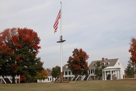 large flag on flagpole with trees with autumn leaves and buildings