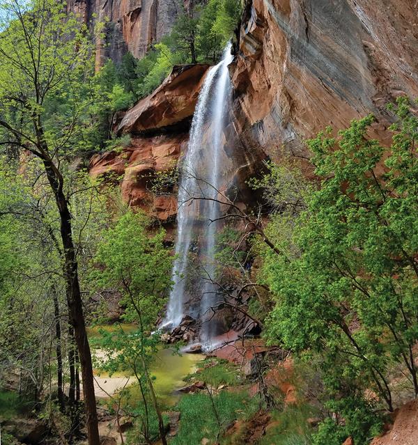 A waterfall flows off of a sandstone ledge into a pool below, surrounded by foliage.