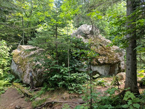 A trail and a portage trail wrap around a boulder in a forest.
