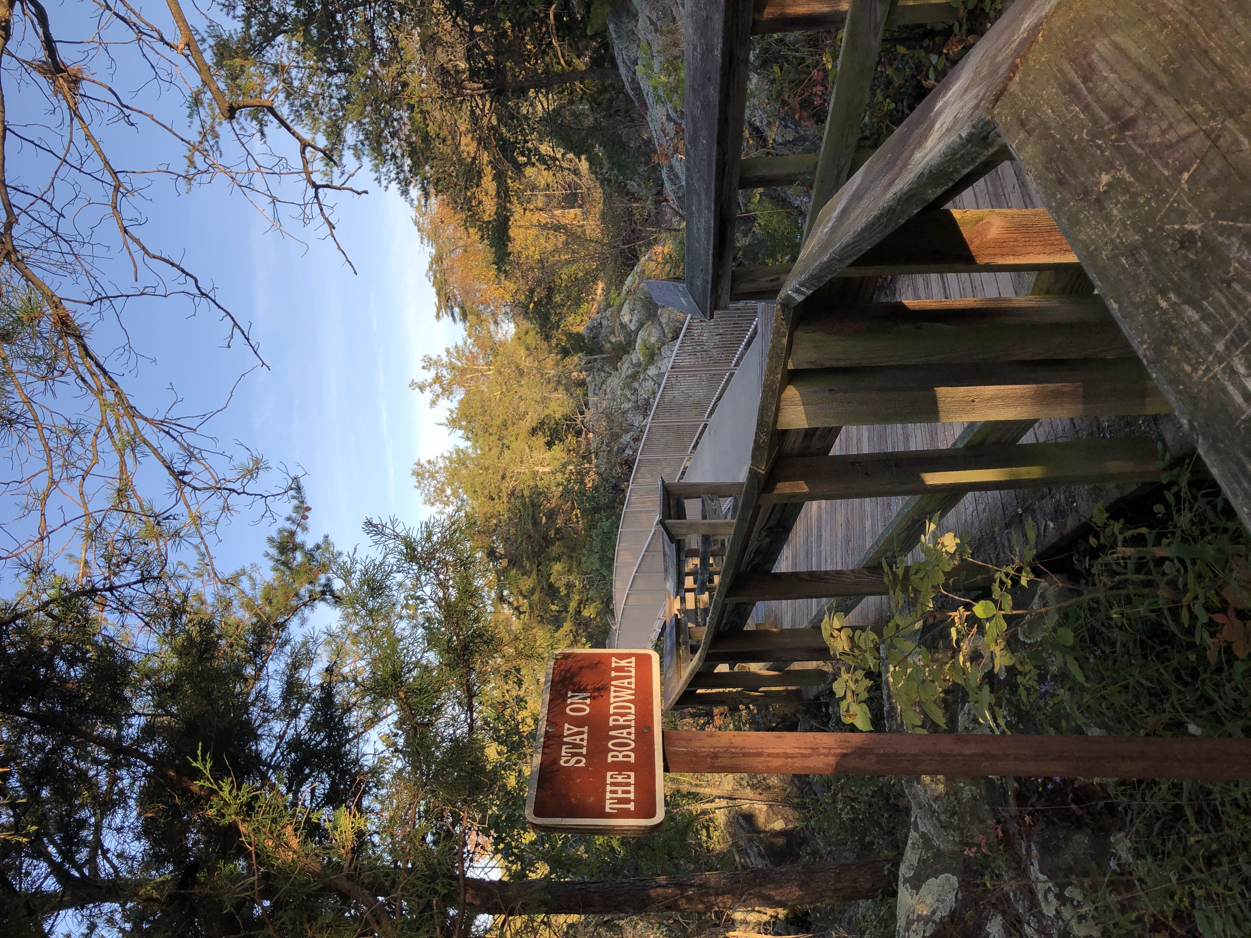 Olmsted Island and Overlook Trail