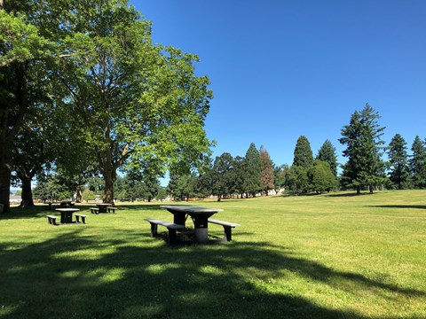 A picnic bench in an open grassy field on a sunny day.