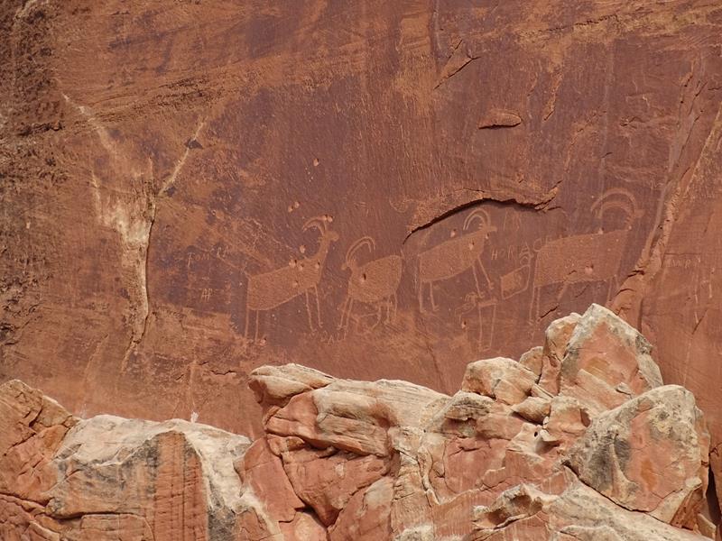 Visit the Petroglyph Panel