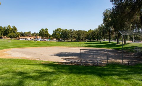 Color photograph of a green lawn with trees, and a sandy spot with some seating on the edge.