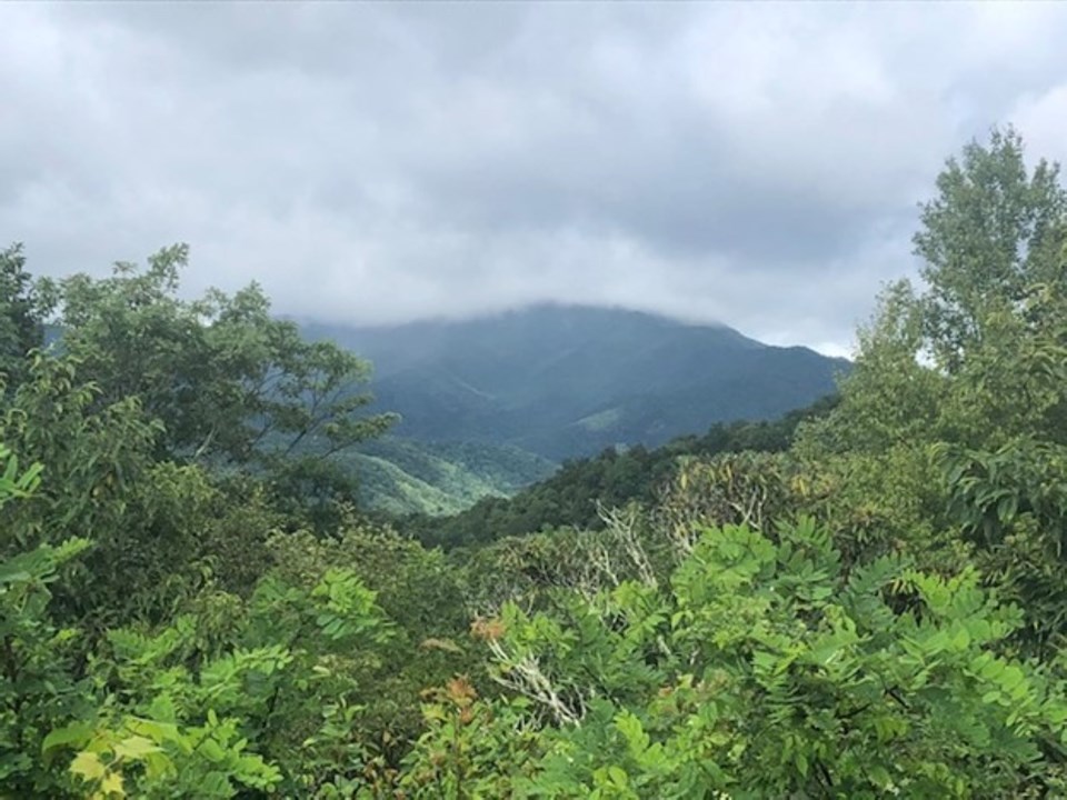Tall mountain with top covered in clouds surrounded by green trees