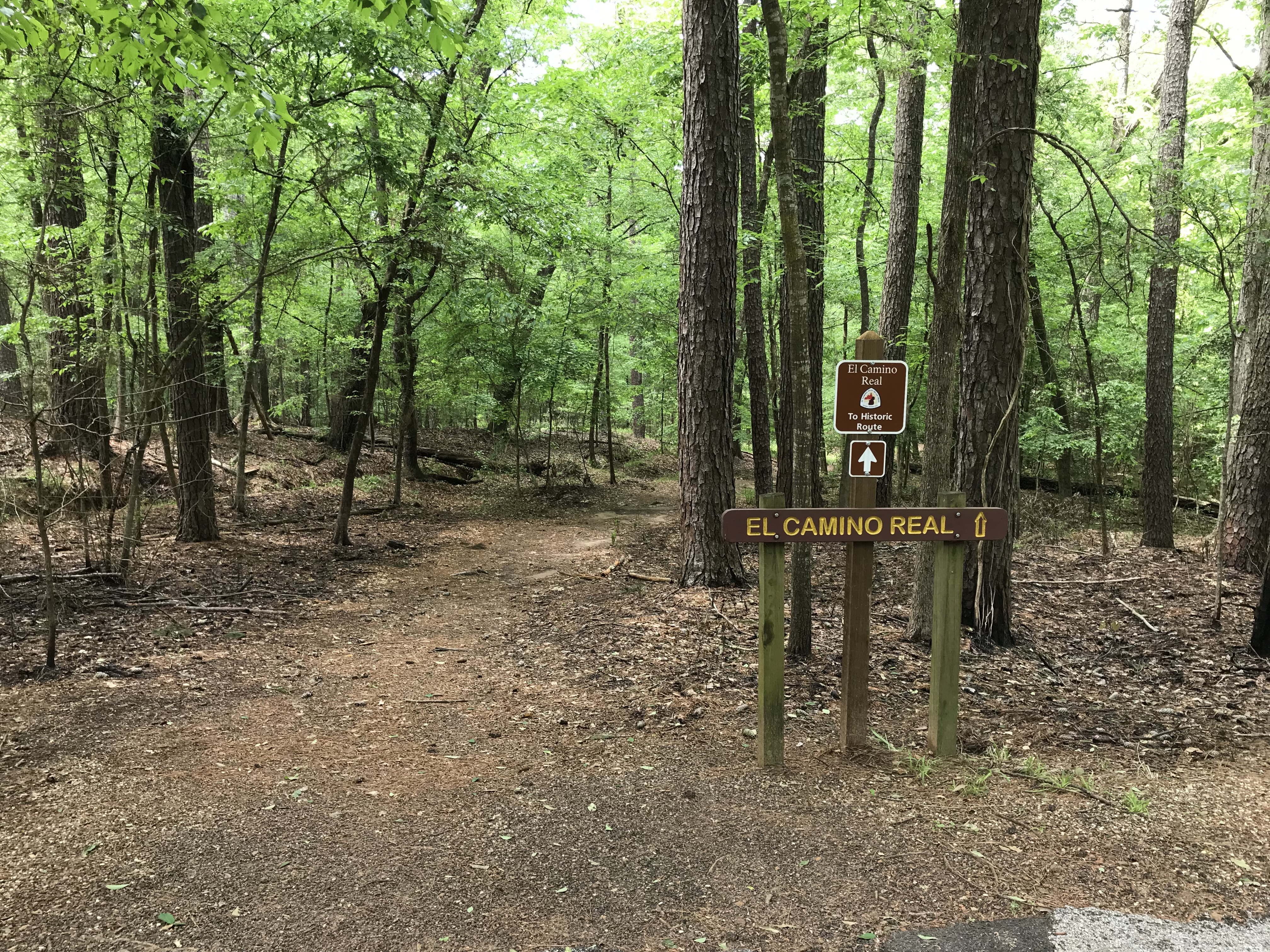 Hike on El Camino Real de los Tejas