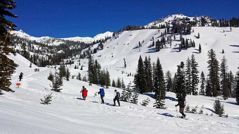 Snowshoe a Winter Route