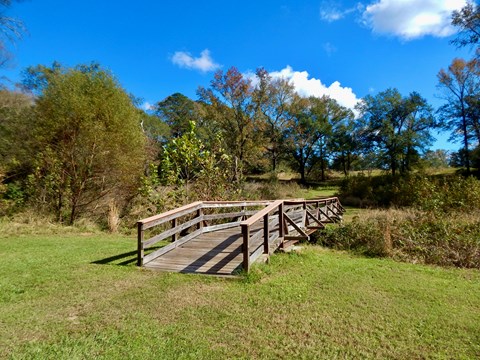 A grassy trail leading to a wooden bridge over a small creek.