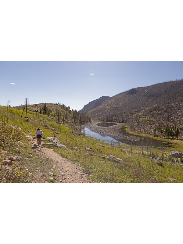 A person is hiking on the Cub Lake Trail on a sunny day