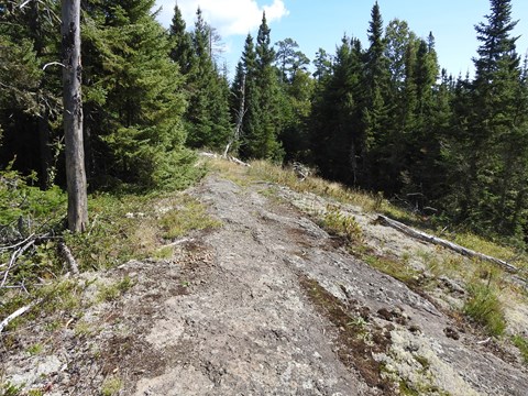 An exposed rocky ridge covered in lichen surrounded by shrubs and forest.