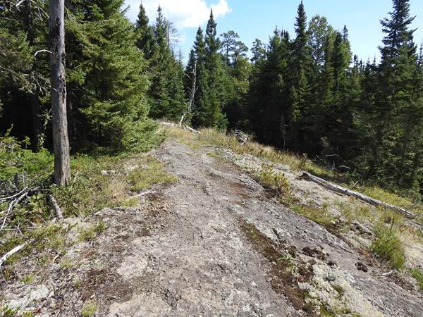 An exposed rocky ridge covered in lichen surrounded by shrubs and forest.