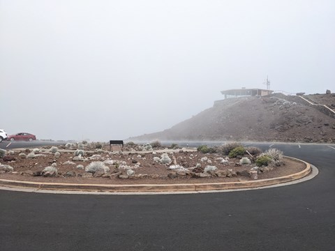 A blacktop lot with a center island of cinder and small plants, a hill and a building in fog.