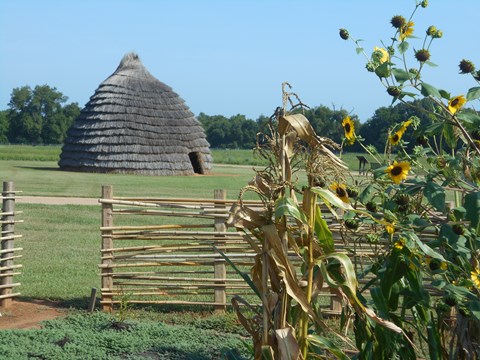 A thatched, bee-hived shaped hut.