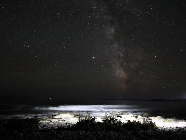 Waves and Milky Way at Seawall Picnic Area