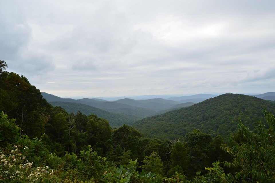 Shrubs and flowers in the foreground give way to rolling hills and layered mountains