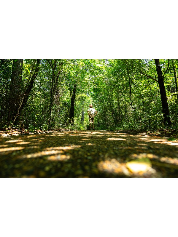A young man stands in the middle of a packed gravel trail looking up to the lush green trees.