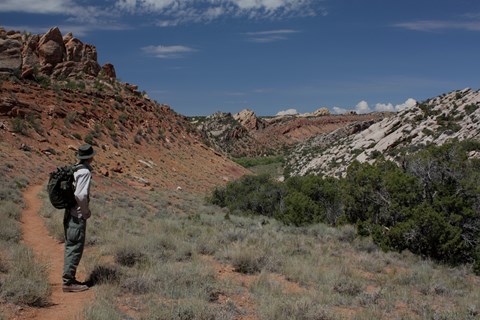 A tall man with a green backpack looks out at a valley of red colored rocks