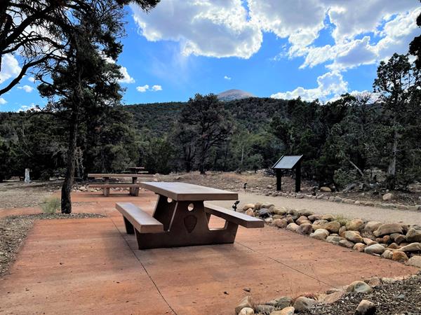 Concrete picnic area surrounded by juniper trees.