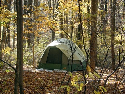 A tan and green tent nestled amongst a grove of fall colored trees.