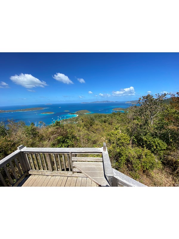 A wooden viewing platform at the top of the hill provides sweeping views of forest and ocean.