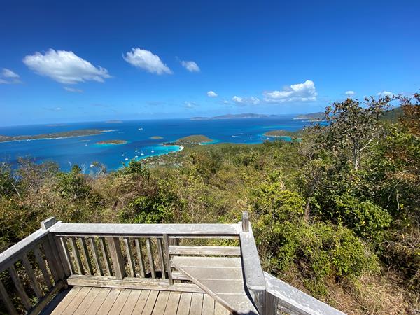 A wooden viewing platform at the top of the hill provides sweeping views of forest and ocean.