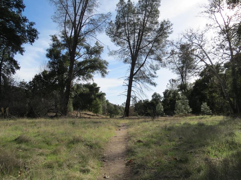 Hike Bench Trail to South Wilderness Trail