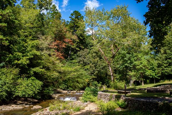 A stone pathway crossed a flowing river with tall trees in the background.