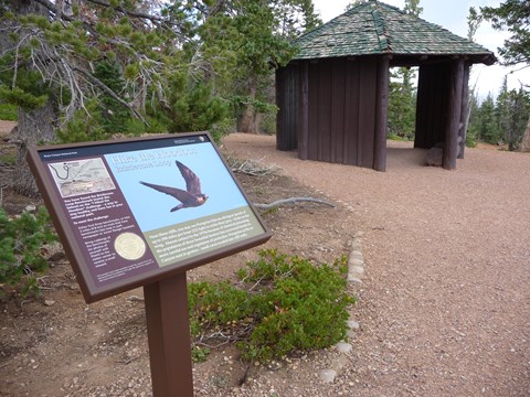 An interpretive wayside display shows a peregrine falcon beside text near a wooden gazebo