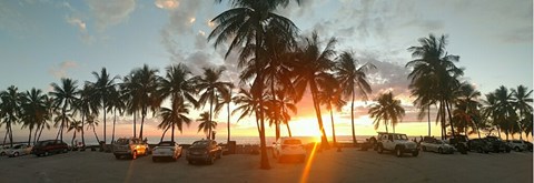 The sun sets behind coconut trees and cars parked in the picnic area as the sky lights up orange.