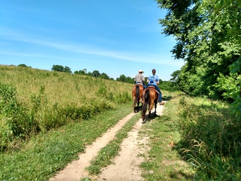 Summer sunshine day in the field of Wilson's Creek, 2 people riding horses on designated trails.