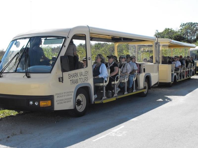 Shark Valley Tram Tour