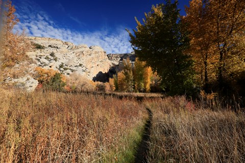 A narrow trail surrounded by brown grasses and vegetations leads to tall cliffs in the distance.