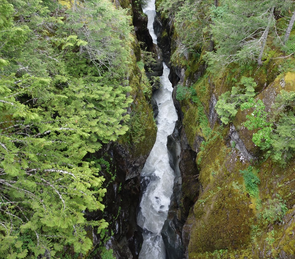 A very narrow canyon, rock walls covered in moss and plants, with a rushing white river.