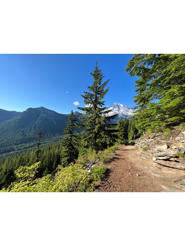 View of Mount Rainier from Rampart Ridge Trail