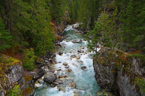 A green river rushes through a tree-line gorge