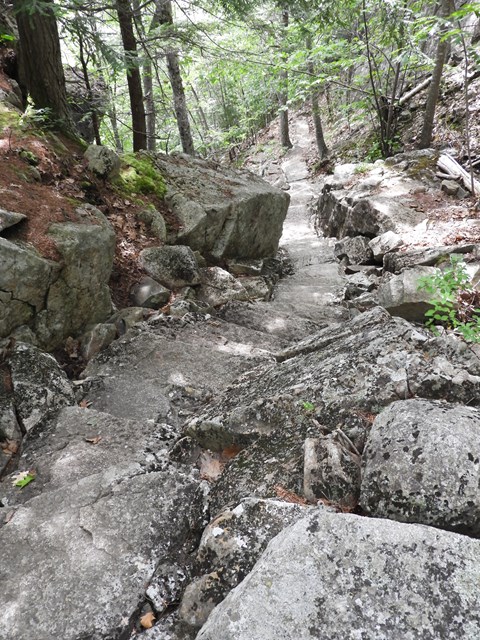 Stone steps leading down a trail in a forested area