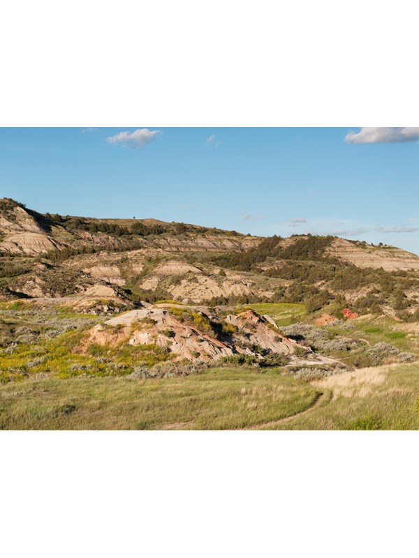 A trail winds through low buttes under a blue sky, with grass and flowers growing around it.