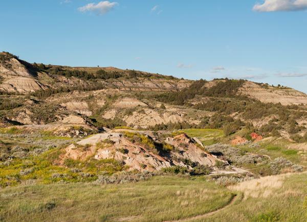 A trail winds through low buttes under a blue sky, with grass and flowers growing around it.
