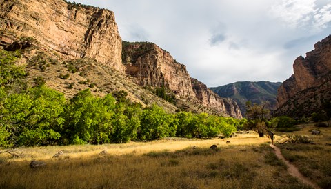A hiker walks on a trail through golden colored grass as tall cliffs rise on both sides.