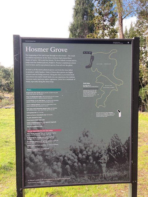 Trail sign with a brief description of the trail and a trail map at the start of the Hosmer Grove loop.