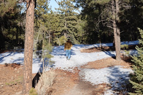 A person in a tan jacket and jeans walks on a snowy trail surrounded by trees.