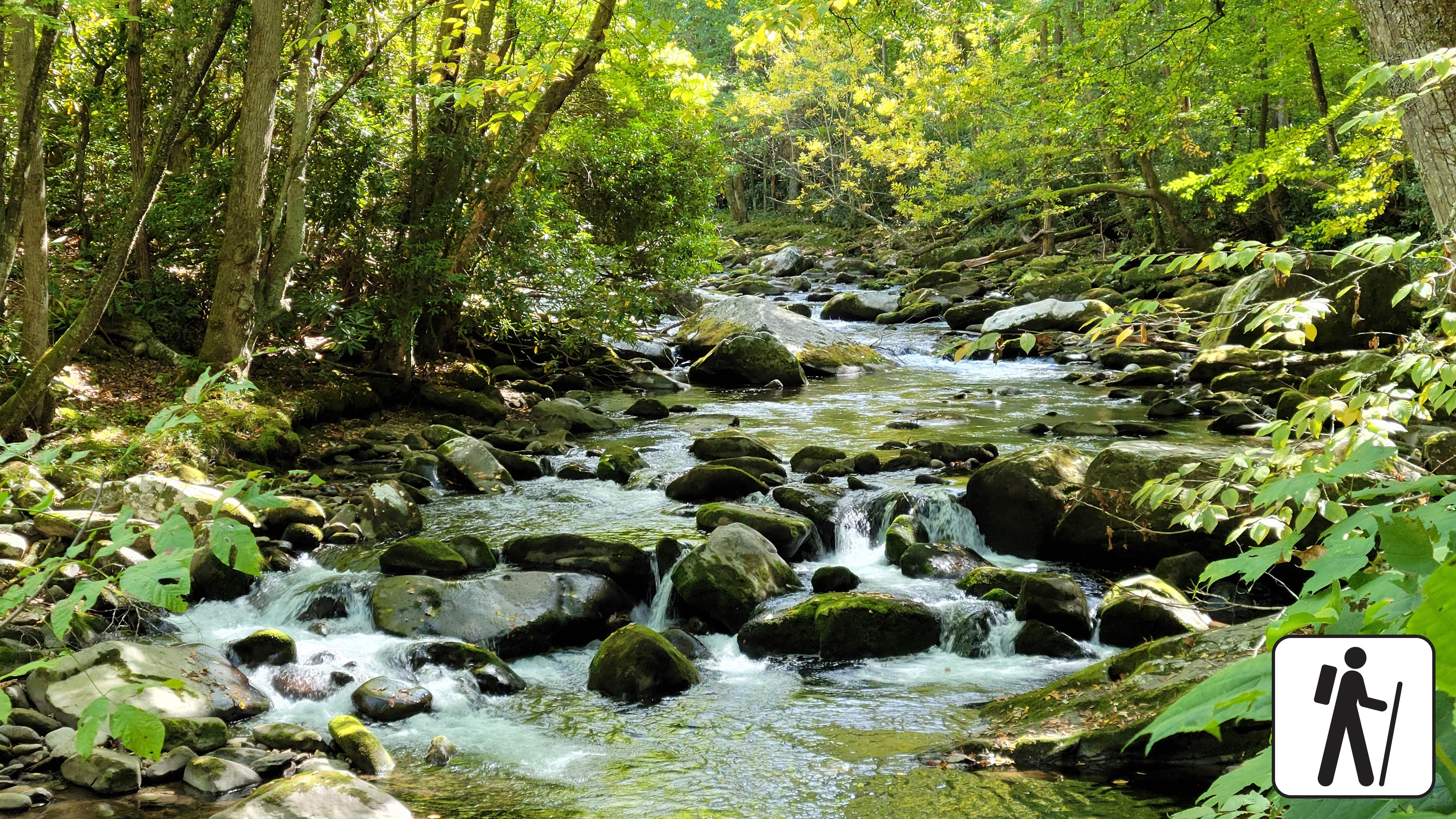 A rocky river in the forest with a hiker icon at the bottom of the page.