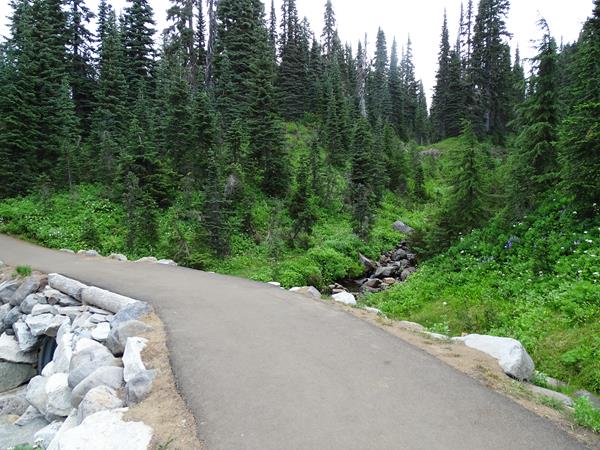 A paved trail crosses over a rocky creek surrounded by trees and lush meadow