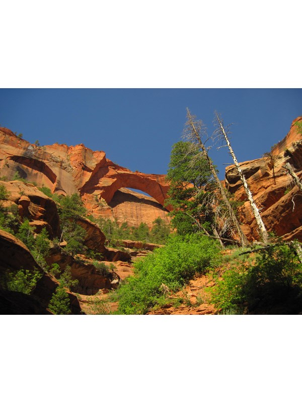 Looking up at an orange-red sandstone arch on a cliff-face with clear blue skies overhead.