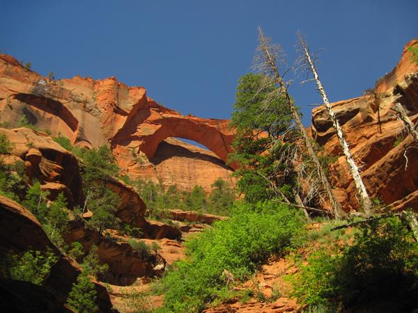 Looking up at an orange-red sandstone arch on a cliff-face with clear blue skies overhead.