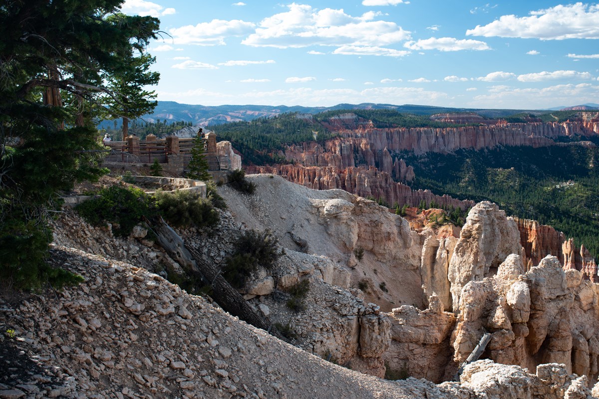 White rock red rock spires and forest at viewpoint